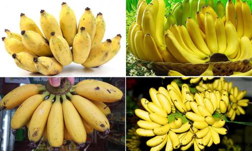 Chuối có hơn 10 loại, bạn đã biết phân biệt? Tác dụng của chuối đối với sức khỏe