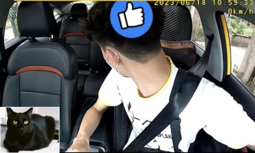 Khách đưa mèo đen lên xe, tài xế taxi lập tức từ chối không lái. Lý do tại sao?
