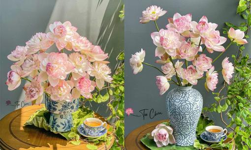 Mẹo cắm và dưỡng để hoa sen nở đẹp, lâu rụng cánh