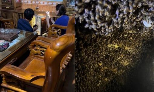 Trở về sau ít ngày vắng nhà, cặp vợ chồng phát hiện 'một ổ rùng rợn' trong tủ, cư dân mạng dự báo 'điềm giàu'