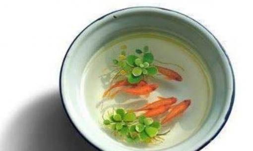 Trắc nghiệm tâm lý: Bốn cái bát, bạn muốn dùng cái nào để nuôi cá? Vận may của bạn trong cuộc đời này tốt đến mức nào?