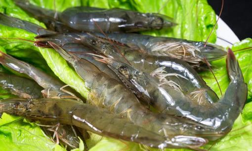 Bảo quản tôm tươi như thế nào? Thử công thức của lão ngư, sau 3 tháng tôm vẫn tươi ngon như mới 