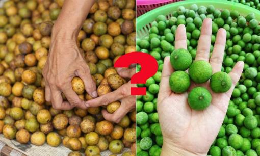 Sấu nên chọn quả non hay quả già? Mẹo bảo quản sấu để cả năm vẫn tươi ngon, giữ nguyên hương vị