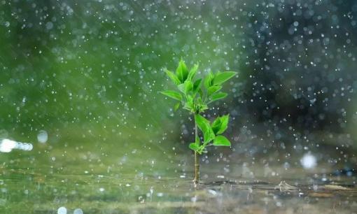 20 câu nói thần kỳ nhất thế gian, chỉ đọc một lần, lợi cả đời! 