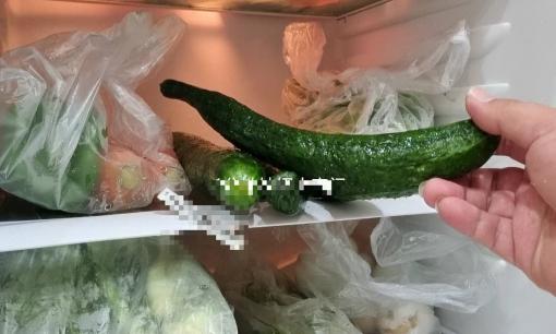 Hóa ra không cần bảo quản dưa chuột trong tủ lạnh, hướng dẫn bạn 2 phương pháp, nửa tháng sau dưa vẫn tươi ngon không hư