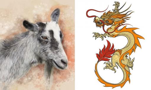 Tử vi 12 con giáp chủ nhật ngày 2/7/2023: Tuổi Mùi được quý nhân dẫn lối, Thìn đối mặt khó khăn