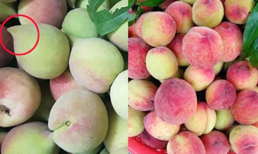 Chọn đào nên chọn quả đầu nhọn hay đầu tròn? Làm theo lời khuyên từ chủ sạp bán hoa quả lâu năm để tránh mua nhầm 