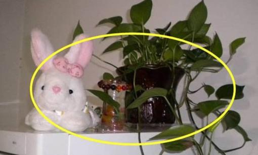 3 thứ này nên tránh xa tủ lạnh, lâu dần chẳng lạ gì tủ lạnh luôn trục trặc, tốn nhiều tiền điện.