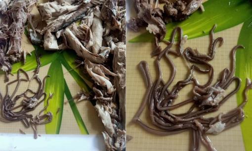 Tách thịt cá để nấu cháo, cô gái tá hỏa khi nhặt được cả bát 'sinh vật lạ', dân mạng: 'Nhiều protein thế còn kêu'