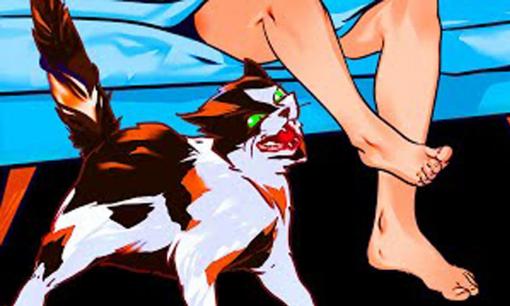 Mèo chạy loạn khắp nhà vào ban đêm báo hiệu điều gì? Tổng hợp tất cả kiến thức mà người nuôi mèo cần biết 