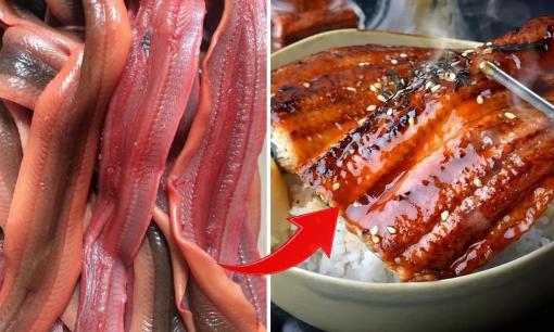 Đây là thực phẩm được ví như 'sâm động vật', được bày bán đầy chợ nhưng nhiều người sợ không dám mua về ăn