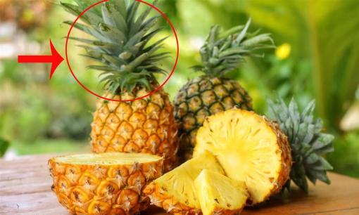 Dứa mua về đừng vứt lá đi lãng phí, sử dụng theo cách này lá dứa sẽ cực kỳ có lợi cho sức khỏe