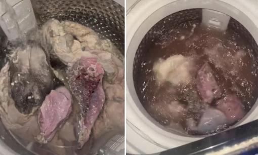 Lười rửa thịt, cô gái cho thịt sống vào máy giặt, dân mạng thắc mắc: 'Có bị khùng không?'