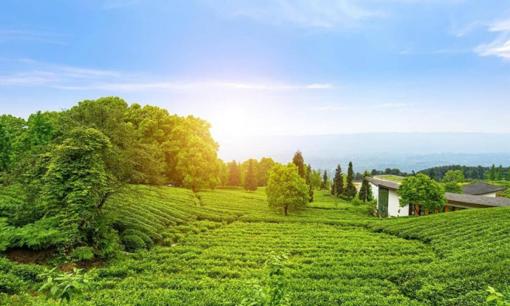 Đến khi về già mới biết, điều đáng buồn nhất của con người không phải là cô độc và chết chóc, mà là ba chữ này