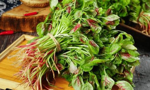 Mùa hè, nắm bắt 'thời điểm vàng' để con cao lớn, ăn 7 loại thực phẩm này thường xuyên, con lớn nhanh đủ dinh dưỡng