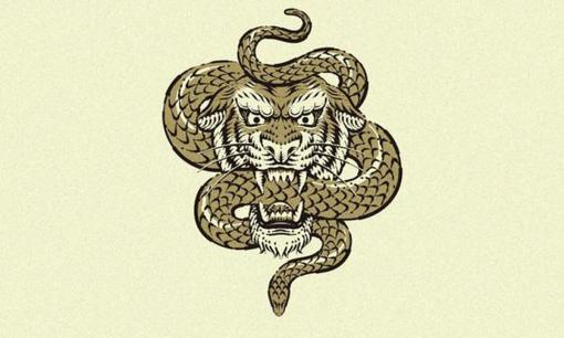 Tử vi 12 con giáp thứ 5 ngày 3/8/2023: Tuổi Tỵ tài lộc vượng phát, Dần khó tránh khỏi rắc rối