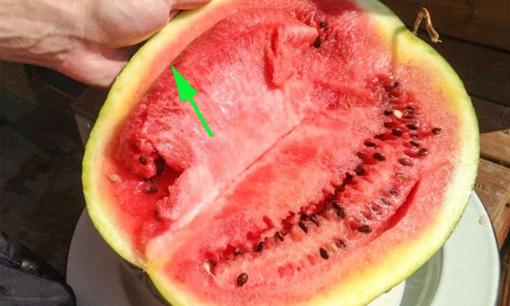 5 dấu hiệu nhận biết dưa hấu chứa nitrat, đừng ăn kẻo rước bệnh