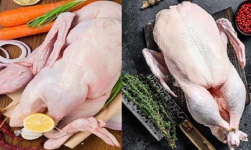 Thịt gà, thịt vịt, thịt ngan khác nhau như thế nào, thịt nào bổ và ngon nhất? Hôm nay nói cho bạn biết!