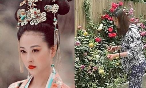 Võ Mỵ Nương - Châu Hải My tuổi U60 sống một mình trong biệt thự có vườn rộng ở Bắc Kinh, nuôi chó cưng làm bạn: Không đàn ông vẫn ổn!