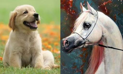 Tử vi 12 con giáp thứ 5 ngày 10/8/2023: Tuổi Tuất gặt hái thành công như ý, Ngọ không may mắn