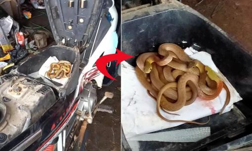 Chủ tiệm sửa xe quăng cả đồ nghề bỏ chạy ngay khi nhìn vào cốp xe của khách, thực hư thế nào?