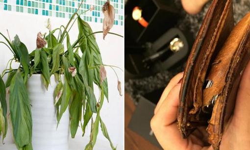 Gần tháng cô hồn, trong nhà nếu có 5 thứ này cần vứt ngay để tránh xui xẻo 