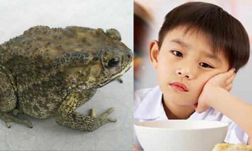 Nhiều người làm ruốc cóc cho trẻ còi xương, kém ăn nhưng liệu có tốt như lời đồn?