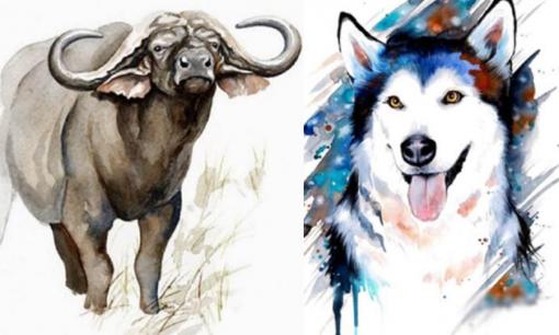 Tử vi 12 con giáp chủ nhật ngày 13/8/2023: Tuổi Tuất được quý nhân giúp đỡ, Sửu dễ gặp phải rắc rối