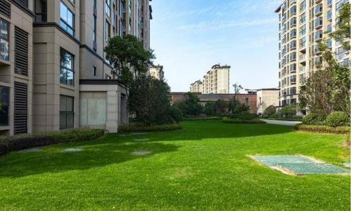 Vì sao nhiều người rời xa “nhà chung cư cao tầng nhỏ”? Người trong cuộc: 5 tính xấu “chịu không nổi”