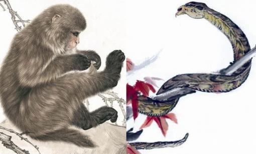 Tử vi 12 con giáp thứ 7 ngày 19/8/2023: Tuổi Tỵ vận tiền bạc khởi sắc, Thân sự nghiệp lao đao