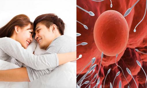 Thời điểm tốt nhất để người phụ nữ thụ thai không phải là ban đêm mà là thời điểm này, nếu bạn muốn có con, hãy hiểu