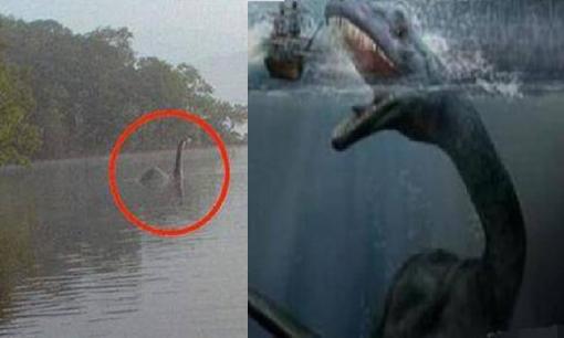 Bí ẩn về thủy quái ở Hồ Nam những năm 1950, sau khi bắt được sinh vật dưới nước, thảm họa xảy ra sau đó khiến người xem phải suy ngẫm