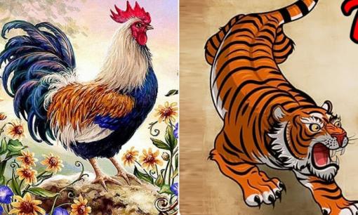 Tử vi 12 con giáp thứ 5 ngày 24/8/2023: Tuổi Dậu có cơ hội thăng tiến, Dần gặp khó khăn