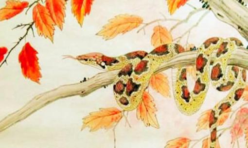 Tử vi ngày 25.26.27 tháng 8: Chúc mừng ba con giáp có tài lộc hanh thông, cơ hội đổi vận thành đại gia