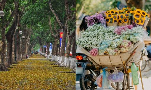 Con đường nào đang hot nhất mùa thu Hà Nội? Các bạn trẻ đến check-in sớm còn kịp
