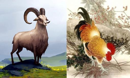 Tử vi 12 con giáp thứ 2 ngày 28/8/2023: Tuổi Mùi may mắn, Dậu dễ gặp rắc rối