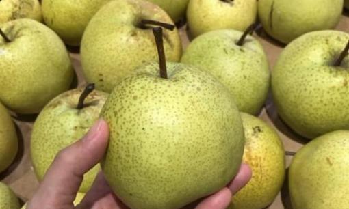 Mùa thu đến rồi, ăn thêm 5 loại trái cây này, vitamin cao hơn hẳn