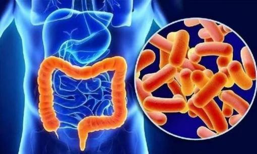 Có phải xì hơi nhiều hơn có nghĩa là có nhiều không khí trong dạ dày? Bác sĩ: Không, chú ý 5 bệnh