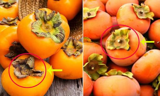 Hồng là đặc sản mùa thu, giàu vitamin hơn cam nhưng bạn đã biết cách chọn hồng ngon, không bị chát