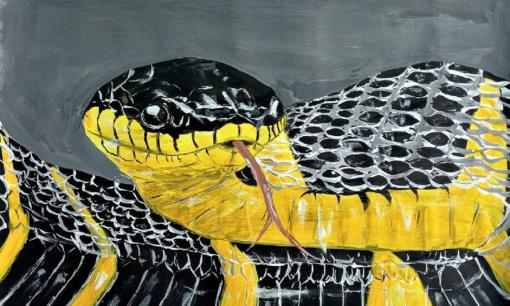 Tử vi tuần mới (4-10/9), top 3 con giáp được Thần Tài ưu ái, cuộc sống viên mãn, đánh đâu thắng đó, muốn nghèo cũng chẳng được