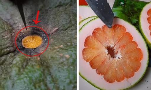 Mẹo kiểm tra số múi bưởi mà không cần bổ cả quả, bạn nên biết ngay để tránh mua bưởi lép