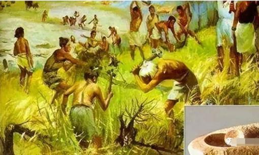 Tại sao con người lại tiến hóa thành động vật ăn tạp? Tiết lộ bí ẩn về thảm họa thiên nhiên 2,5 triệu năm trước