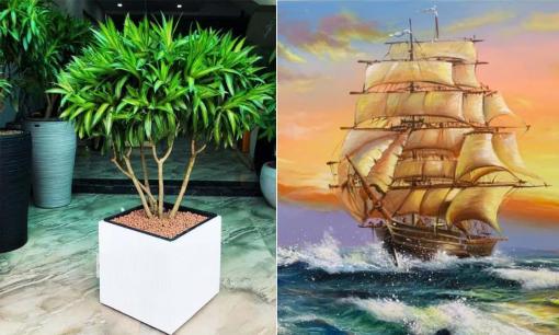 Người thuộc mệnh này nên trồng cây trúc bách hợp sẽ 'thuận buồm xuôi gió', dễ thăng tiến