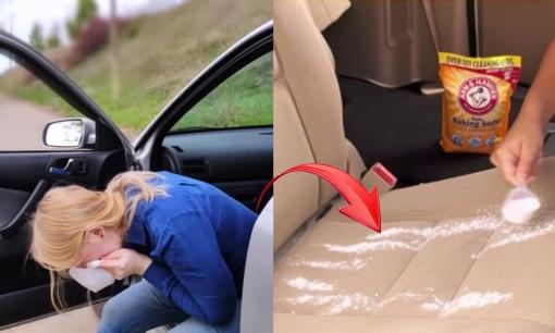 Mẹo khử mùi nôn trên xe ô tô bằng những nguyên liệu có ngay trong căn bếp nhà bạn