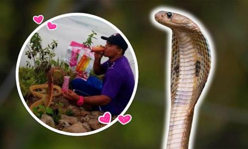 Thanh niên Thái Lan kết hôn với một con rắn hổ mang vì giống bạn gái cũ 