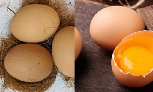 Khi mua trứng nên chọn trứng to hay nhỏ? Bác nông dân dạy bạn bí quyết chọn trứng, đừng mua nhầm nữa nhé!