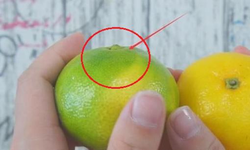 Cam được bày bán trên thị trường với số lượng lớn. Đừng chỉ chọn quả vàng, hãy học mẹo này, chắc chắn bạn sẽ chọn được cam ngọt