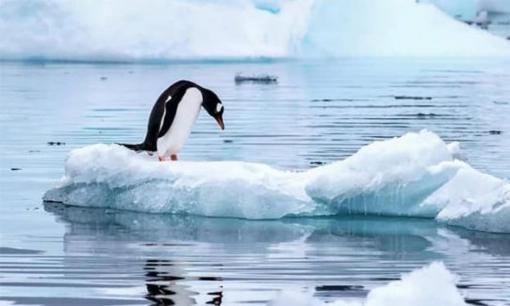 Bên dưới lớp băng Nam Cực có gì? Các nhà khoa học: Việc phát hiện ở độ sâu vượt quá 2.000 mét là điều đáng phải cảnh giác!