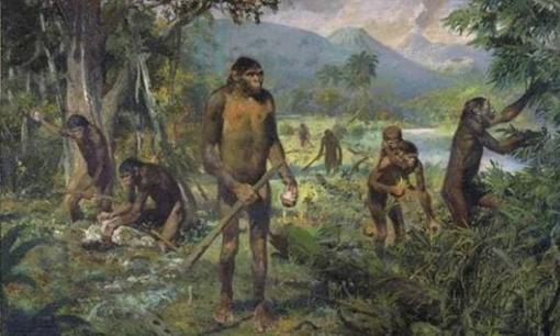 Bước quan trọng nào để loài vượn cổ đại 'từ vượn trở thành người'? Không phải bằng lửa và dụng cụ, mà bằng bước này