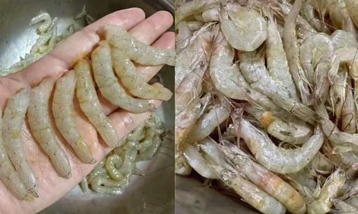 Gặp phải loại thịt này các bạn đừng bỏ qua, mua một lần 30 cân cho vào tủ lạnh, rất bổ dưỡng và dễ ăn! 